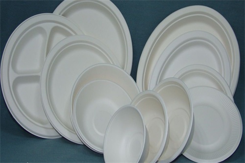 disposable tableware,lunch container