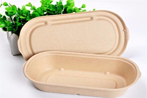 disposable lunch box
