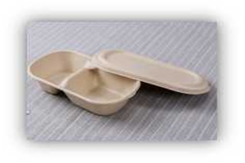 disposable takeaway box with lid-3 compartments