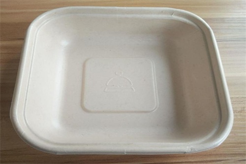 disposable square box compostable tray 